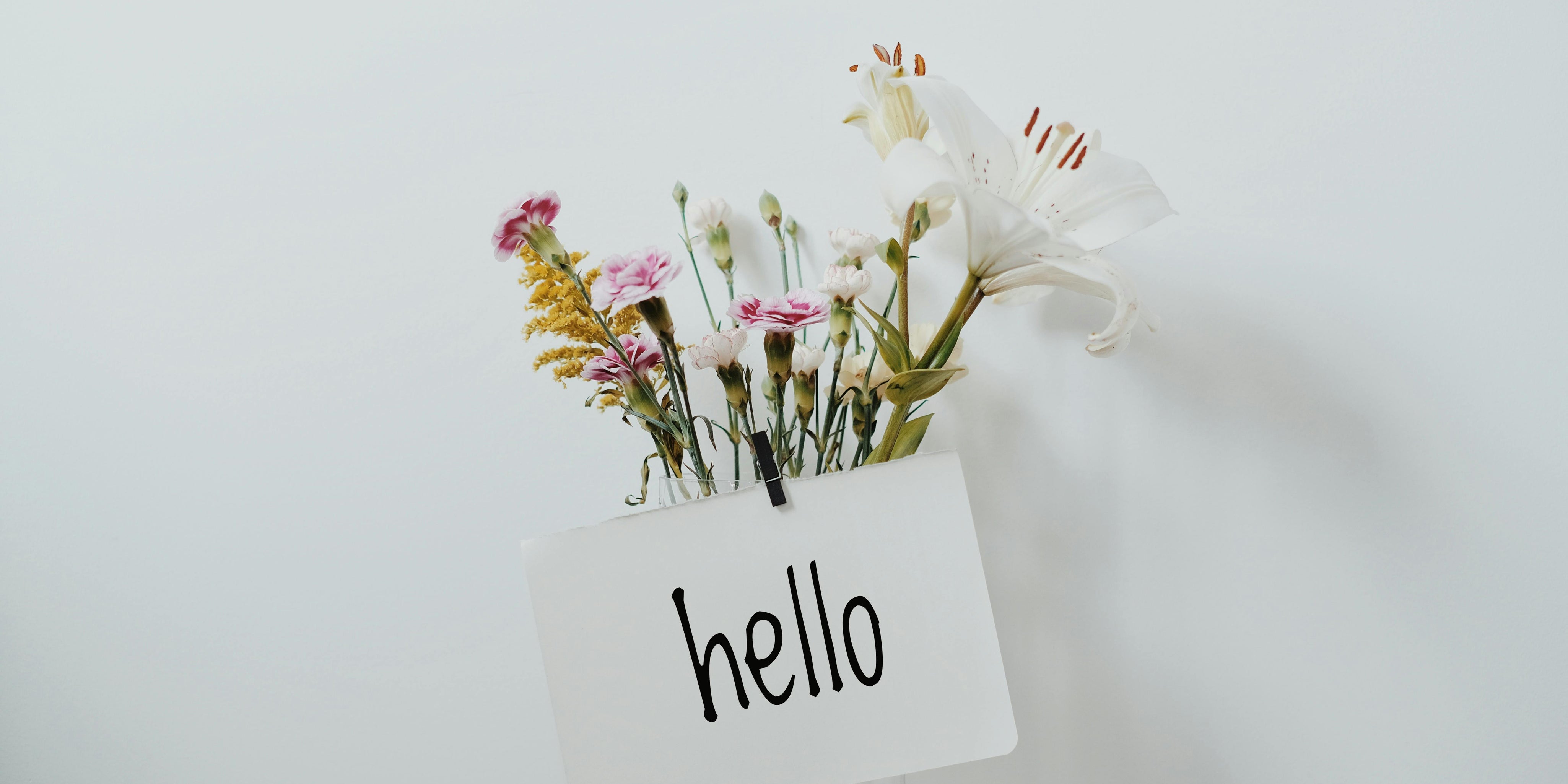 A Note from Susie & Shauna - Let’s Reconnect