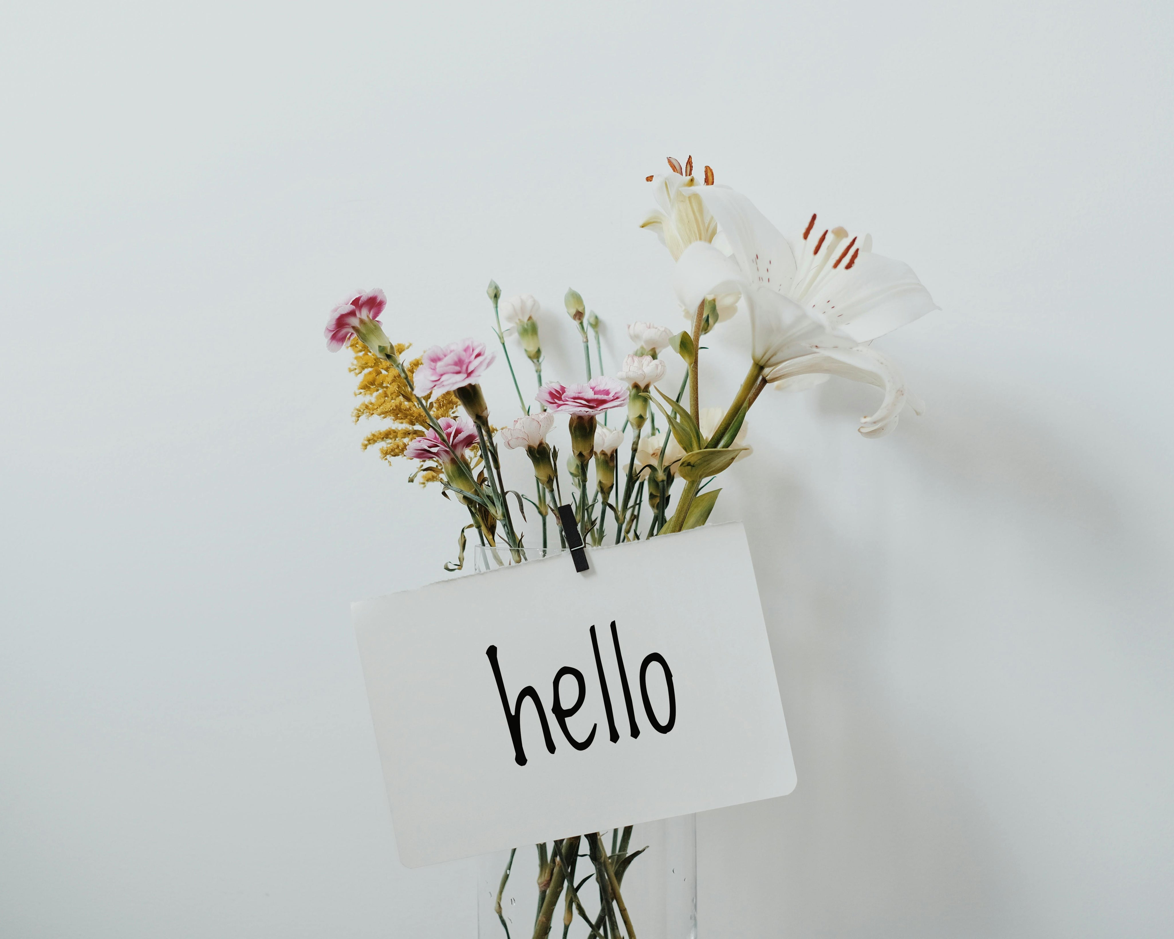 A Note from Susie & Shauna - Let’s Reconnect