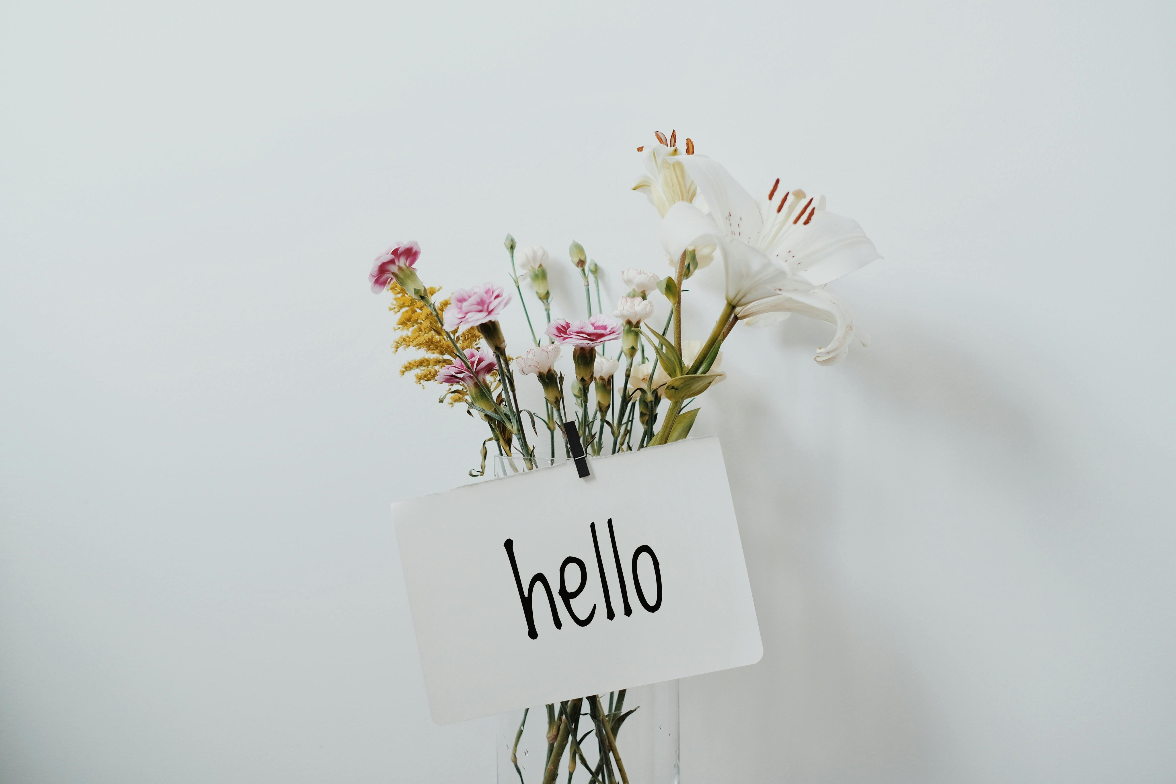 A Note from Susie & Shauna - Let’s Reconnect