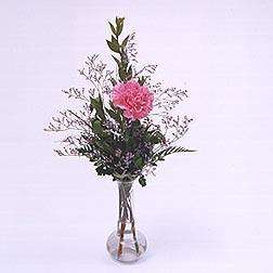 Bud Vase Carnations